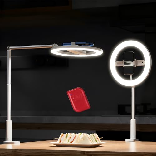 Image of NEEWER Entry Level Version 10 inch 7W LED Selfie Ring Light with Desk Clamp Stand Phone Holder for iPhone, Laptop Video Conference Streaming Recording Makeup Lighting, 3 Tones 3000mAh Rechargeable, N16