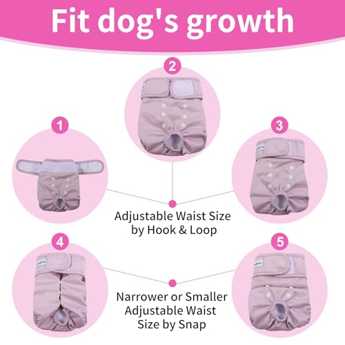 Image of Washable Female Dog Diapers for Small Dogs,Pack of 4 Reusable Puppy Diapers Super Absorbent Dogs Pants in Period,Heat Cycle,Incontinence,Excitable Urination,Medium