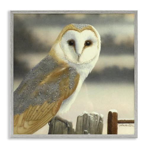 Barn Owl Rural Fence Nature Study, 12 x 12 Inch Framed Giclée Print