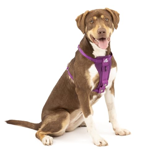 Kurgo Enhanced Strength Tru-Fit Dog Car Harness - Pet Travel Safety Harness - Crash Test Certified Fit - Five Point Adjustment - Secure Buckle - Padded Chest - Deep Violet - Medium