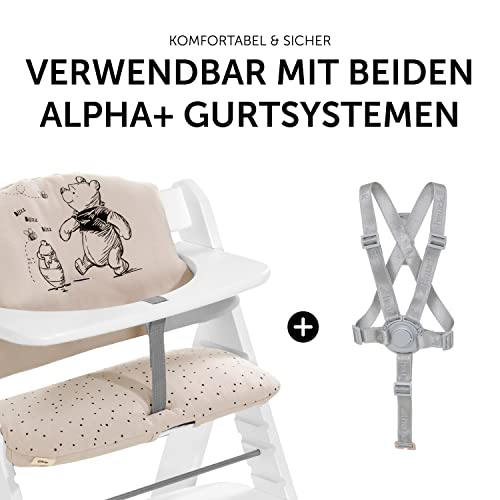 hauck Highchair Pad Select, Disney Winnie the Pooh Beige - Hochstuhl Sitzkissen Kompatibel mit Alpha+, Beta+, Arketa Hochstuhl, 6-36 Monate, Anti-Rutsch, Doppelte Polsterung, Einfache Befestigung