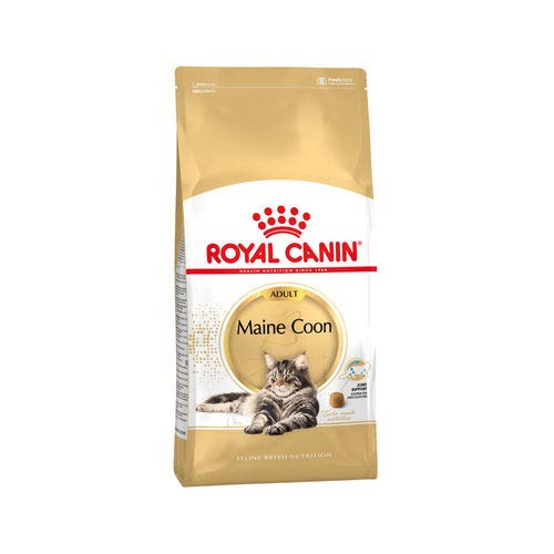Royal Canin Maine Coon Adult | 400 g | Trockenfutter für Katzen | Angepasst auf den Bedarf von Maine Coon Katzen | Zur Unterstützung der Gelenke und Knochen
