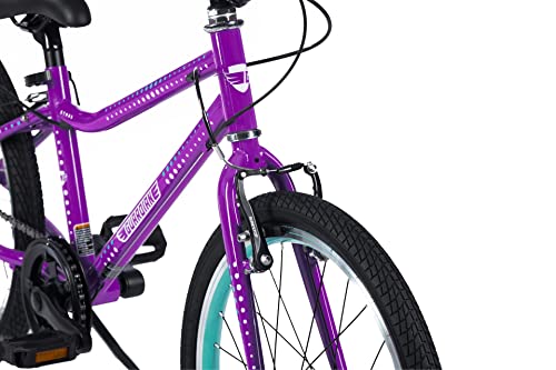 Guardian Bike Company Ethos Safer Patented Surestop Brake System 20" Kids Bike, Purple/Aqua #TOP1