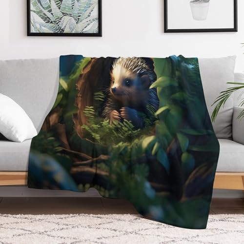 Couverture en hérisson moelleuse contre le froid nocturne, plaid flanelle lit