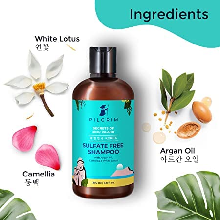 Image of Pilgrim Smooth & Silky Hair Nourishment Combo Kit | 99% Pure Aloe Vera Gel 200ml | Mild Sulphate free Shampoo 200ml | Frizz-Free Hair Care Combo | Hair Care Kit for Men and Women