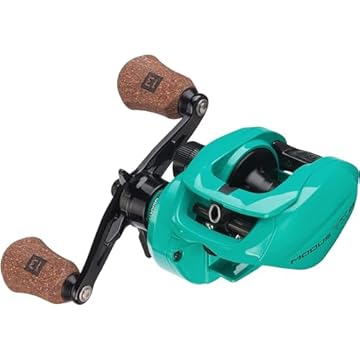 best baitcasting reel for inshore fishing