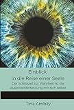  Einblick in die Reise einer Seele: Der Schlüssel zur Wahrheit ist die Auseinandersetzung mit sich selbst