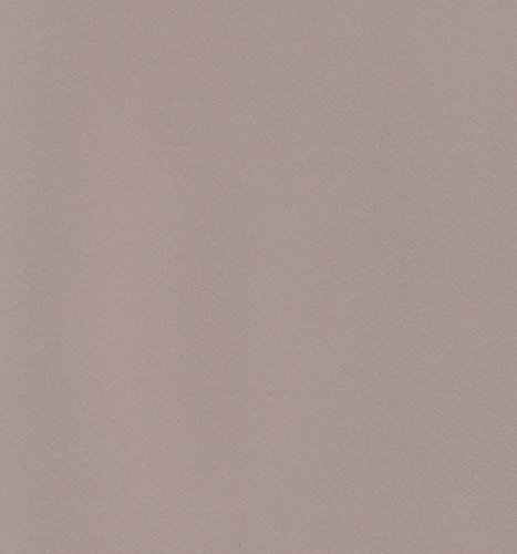 エスケント ケント紙 スターカラー 八切 ショコラ 100枚 5727008