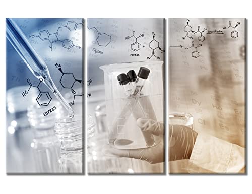 Image of Wall Decor Gloved Hand Hold a Beaker in Laboratory Room Artwork Wall Art Home Decor Clinical Laboratory Wall Decor for Living Room 3 Piece Contemporary Home Decor Framed Ready to Hang , 60 inchWx40 inchH