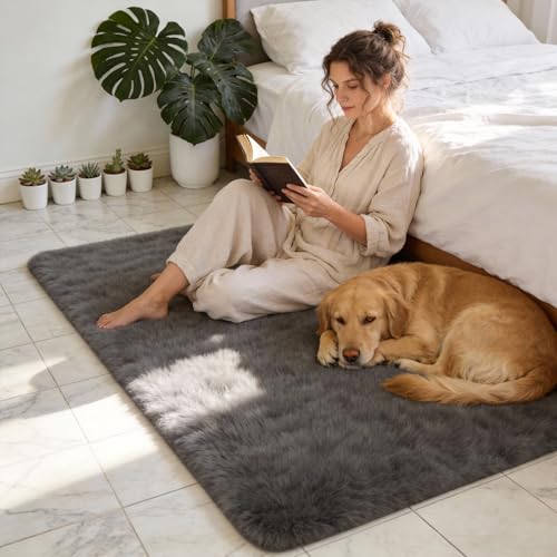 MATIIUI Shag Grey Rug 4x6 Area Rugs for Bedroom Dorm Living