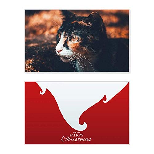 Carte de Noël vintage chat marron pour transmettre votre tendresse