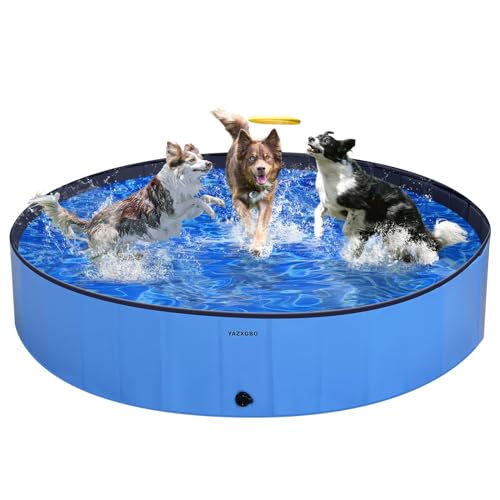 Foldable Dog Pool