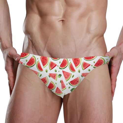 Watermelon Fruit Swim Briefs for Men Swimsuit Bikini Swimwear S A1119484