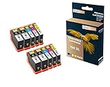 QUALITONER - 10 Cartouche Compatible pour LEXMARK 150 XL 150XL Noir (x4) + Cyan (x2) + Magenta (x2) + Jaune (x2) pour Lexmark Pro 715 Pro 915 S315 S41