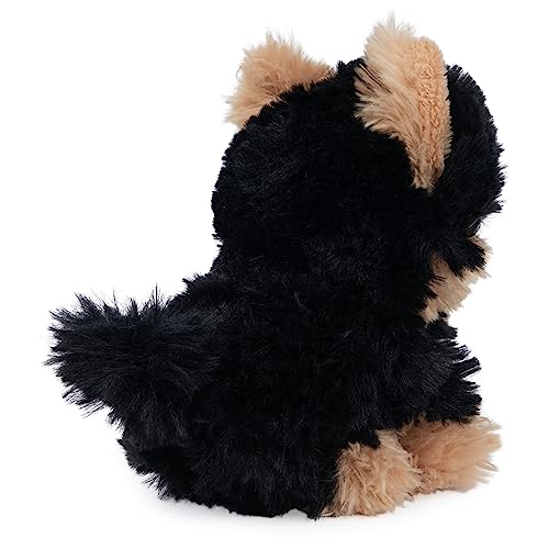 Gund 6066076 Boo, The World’S Cutest Dog, Boo & Friends Collection Yorkie Puppy, Stuffed Animal thumb #3