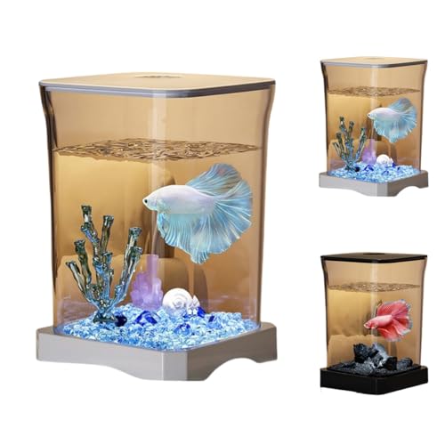 Zekono^ARpNgLbgAȒPȐAȒPZbgAbvƃeiXAX^[^[^NɍœK (}eAZNV[zCg],OWA[f)