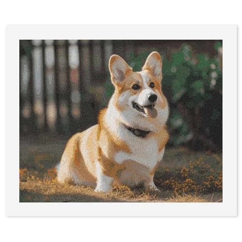 Peinture par numéros kit adulte débutant toile imprimée chien Corgi 57 cm