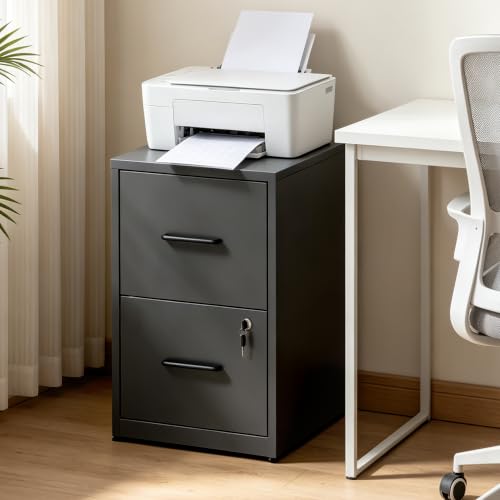 GLSAUTO 2 Drawer Lockable Metal File Cabinet (Black)