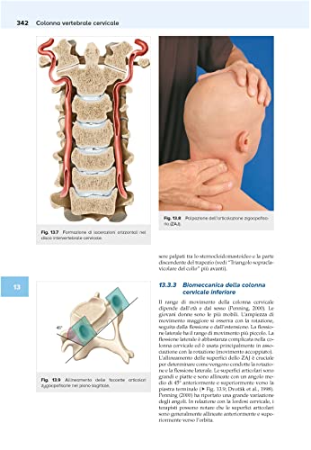Tecniche Di Palpazione. Anatomia Di Superficie Per Terapisti - 3