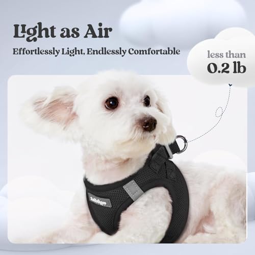 rabbitgoo Step-In Harness & Leash Set (Black, M) — view 3