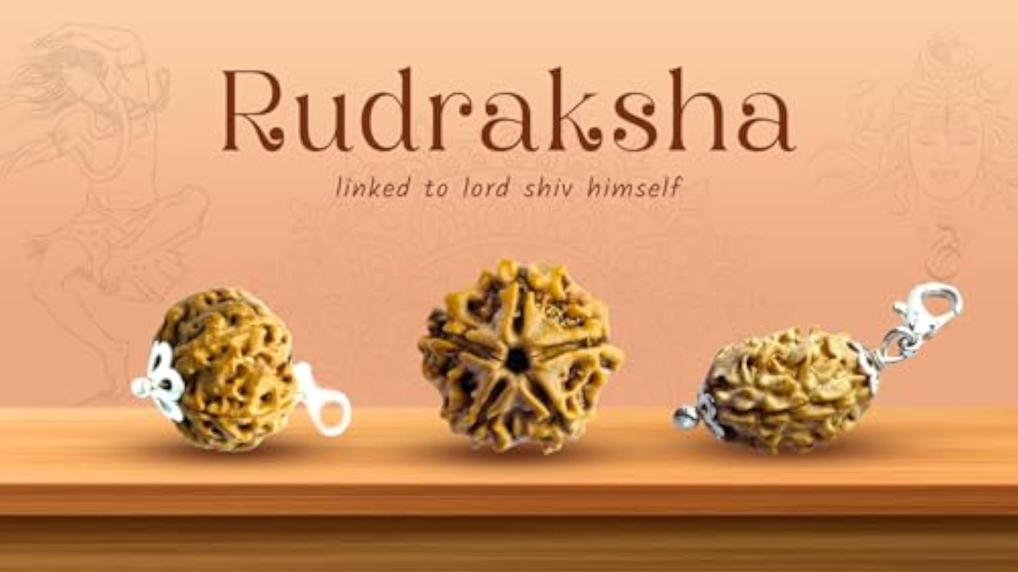 Big Size 5 Mukhi Rudraksha Certified Original Nepali Bead for Meditation