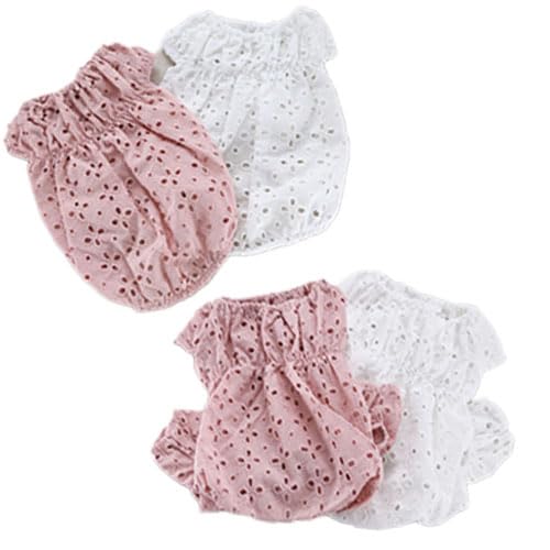 ykamakuradog qhbOzԂтXJbvȂs  ̕ ybg hbOEFA (M, s×zCg)