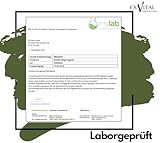 EXVital HANFÖL Kapseln - hochdosiert & kaltgepresst | 365 Kapseln (Jahresvorrat) | 1000mg je Kapsel | Laborgeprüft | pflanzliche Omega 3,6 + 9 - Hanfsamenöl | Made in Germany