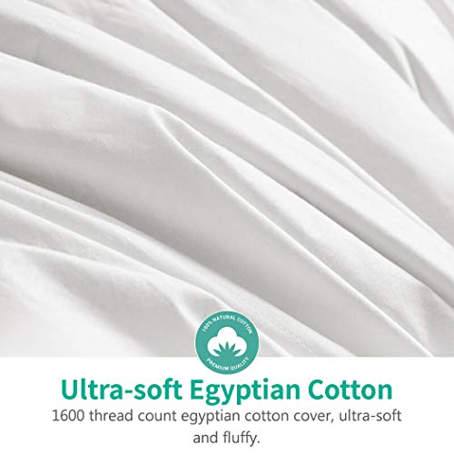 Apsmile Oversized King Size Heavyweight Feathers Down Comforter For Winter Weather/Sleeper - Ultra-Soft 750 Fill-Power Hotel Collection Comforter, Fluffy Thicker Duvet Insert(120X98, White) #TOP7