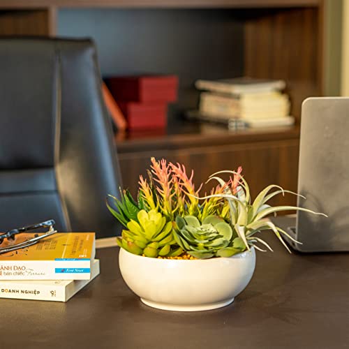 10 In 1- Fake Plants In Pot -Artificial Succulents Plant For Desk Decor -Small Faux Plants Indoor Modern Farmhouse Plants Artificial Decor -Potted Small Plants Decor For Bedroom Bathroom Office Shelf #TOP5