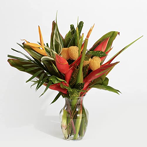 BloomsyBox: Tropical Bouquet Rainforest Sunrise with Birds of Paradise, Loofah, Lobster Claw, and Tropical Greenery | Fresh Cut, Hand-Tied & Farm Fresh Bouquet | Perfect for weddings, anniversary etc