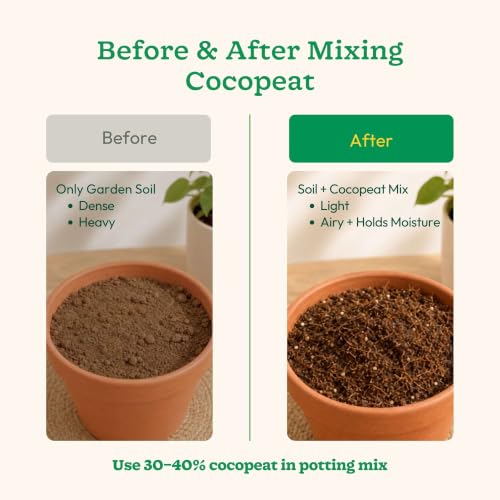 Image of Ugaoo Cocopeat Powder for Plants 5 Kg | Premium Low EC Coconut Coir Soil Conditioner | Ready to Use Growing Medium for Seed Germination, Potting Mix, Hydroponics, Indoor Plants, Kitchen