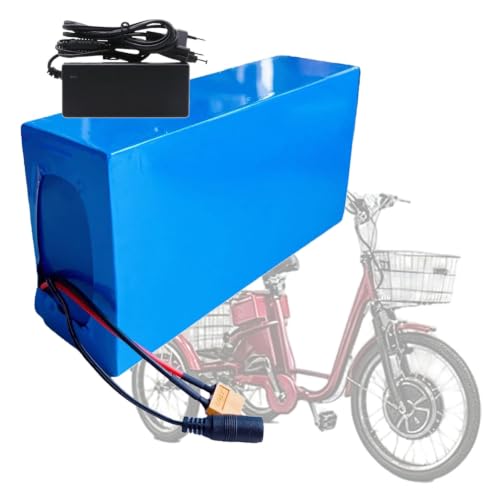 Batería de iones de litio 48V 10Ah 13S6P impermeable con sistema de seguridad BMS