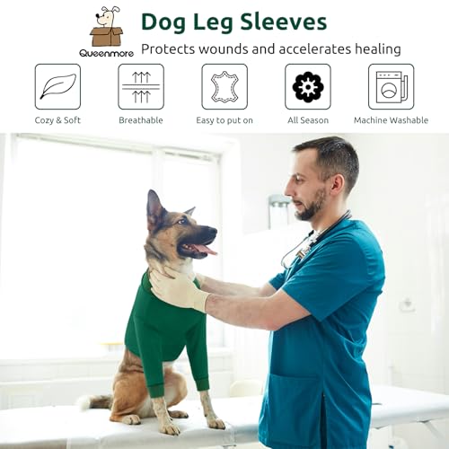 Image of Queenmore Dog Recovery Suit for Front Legs, Adjustable Dog Leg Sleeves to Stop Licking, Breathable Recovery Sleeve for Large Breeds, Wound Care for Pets, Green, L