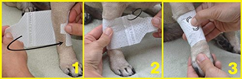 PawFlex Basic Leg Bandages for Dogs, Cats and Other Pets First Aid Non-Adhesive Fur Friendly - Value 10 Pack (5 Standard, 5 Wide) (Large) - Thumbnail 6