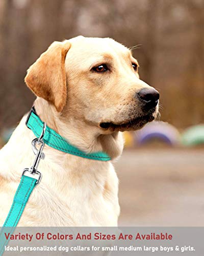 Reflective Dog Collar With Buckle Adjustable Safety Nylon Collars For Small Medium Large Dogs, Green M #TOP6