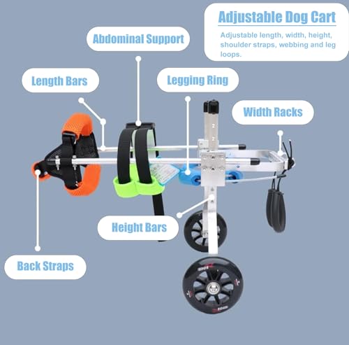Carrito ajustable de rehabilitación para patas traseras débiles en perros pequeños 4