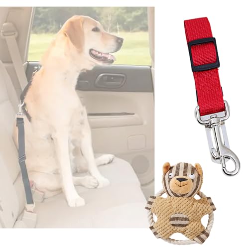 j pV[gxgAԗp[hAXvbVh~A\h~AV[gxgAe͐Aybg̉^]xgA75Z`߉\AtȒPAԐp[vAsAԍڌ[vAԃV[gxgAیA̎ԗpiAybgtEAʂ