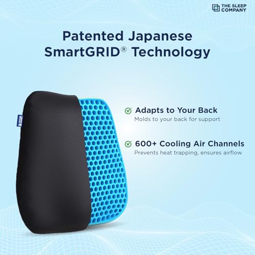 Image of The Sleep Company SmartGRID Ortho Pro Back Cushion | Back Pain Relief | Office Chair & Car Seat Support | Lumbar Support Back Rest | Supports Spinal Alignment & Posture | 600+ Cooling Channels | Black