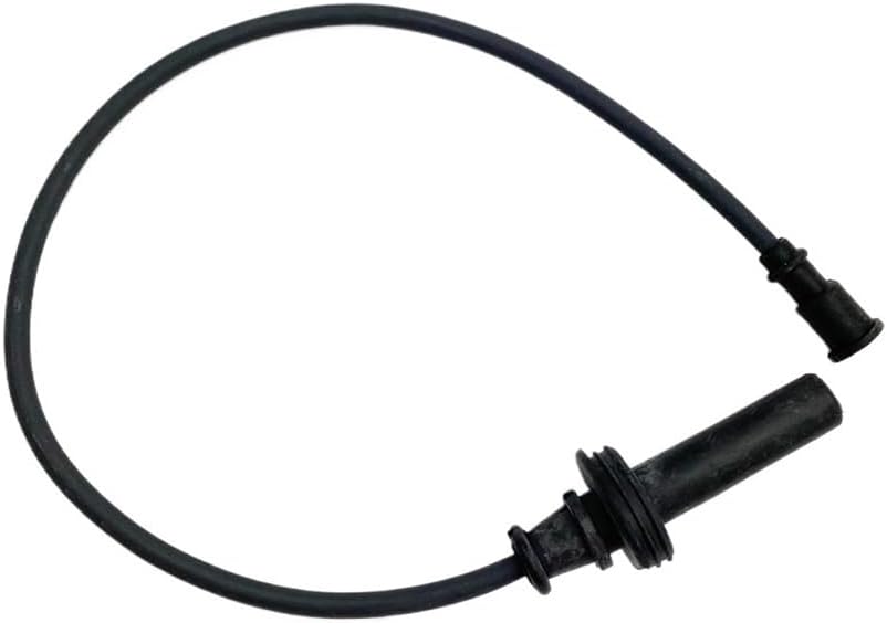 熊の木彫り 昭和新山 浅光作 1982年6月6日 年代物 一点物