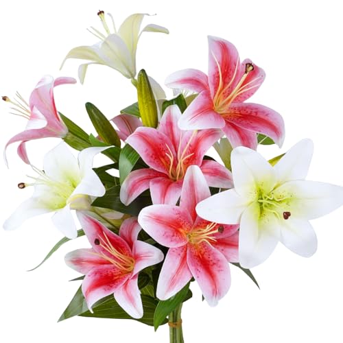 VaryFloral  CeA tFCNt[ 6{ sNzCg [ S t[AWg t[  u[P A[eBtBVt[ A[gt[ ͂Ȃ v[g Be p  }`bN 