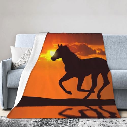 ʔnʔ3 uPbg ѕz ѕz tl ӂӂ _炩 ΍ Ódh~ R hL g  lGʗp 76cm×102cm