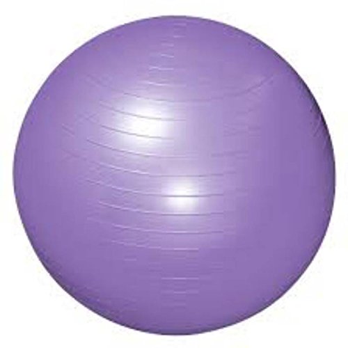 HALO NATION Multi Function Gym Fitness Aerobics Yoga Ball/Gym Ball/Exercise Ball/Swiss Ball/Slimming 65 CM Exercise Ball - Purple (B07D5GWRTF) Amazon Price History, Amazon Price Tracker