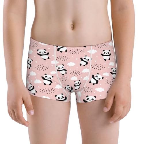 Boys' Cotton Boxer Brief Soft Underwear-Panda Flying In The Sky