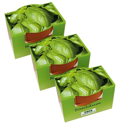 Bull & Bear 3er Set Mini Pflanzset mit Basilikum Samen im Topf 4,5cm, Basilikumsamen als Anzuchtset mit Pflegeanleitung Bull & Bear 3er Set Mini Pflanzset mit Basilikum Samen im Topf 4,5cm, Basilikumsamen als Anzuchtset mit Pflegeanleitung