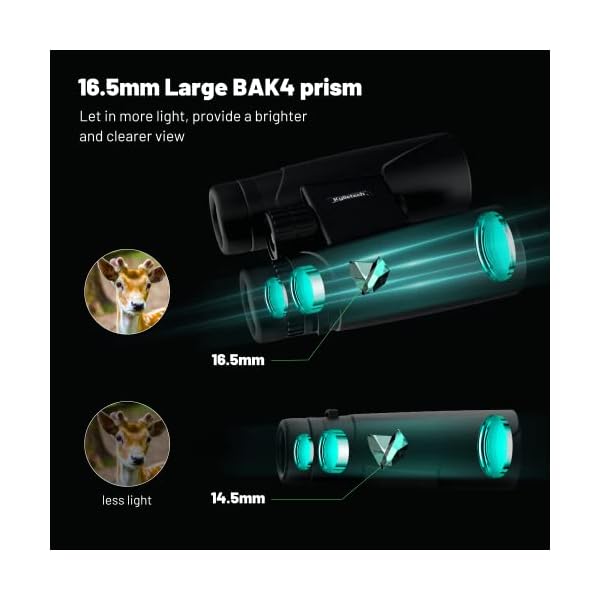 Kylietech Fernglas für Erwachsene, 12 x 42, mit Universal-Handy-Adapter, HD, wasserdicht, beschlagsicher, kompakt… – Bild 3