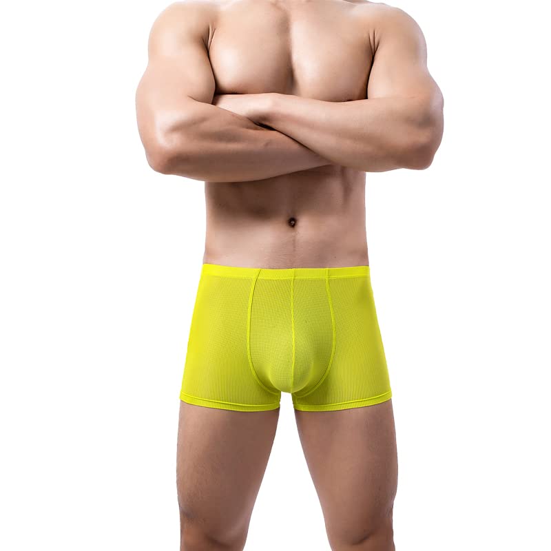 Evankin Mens Sexy Mesh Boxer Briefs Low Rise Underwear Breathable Hollowed Out Boxers2