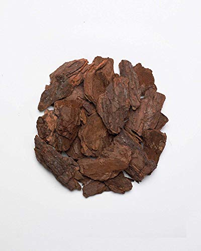 Pine Bark Mulch, 100% Natural Pine Bark Mulch, House Plant Cover Mulch, Potting Media, And More (4Qt) #TOP2