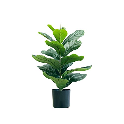 Interior Decoration Fake Flower Decoration Fiddle Leaf Fig Tree Plastic Bonsai Artificial Plants Home Decor 930 (Size : 24X16inch)