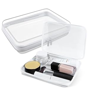 Clear Hard Shell Zipper Case with Double Zippers Durable Portable Hard Clear Zipper Case for Toy Storage Bags, Travel Toiletries and Craft Organization