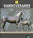 Produktbild HANNOVERANER - Zucht und Entwicklung der weltweit gefragten Pferde